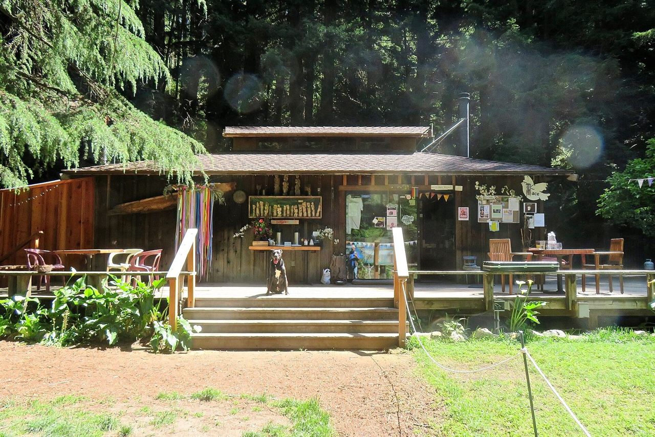 Henry Miller Memorial Library