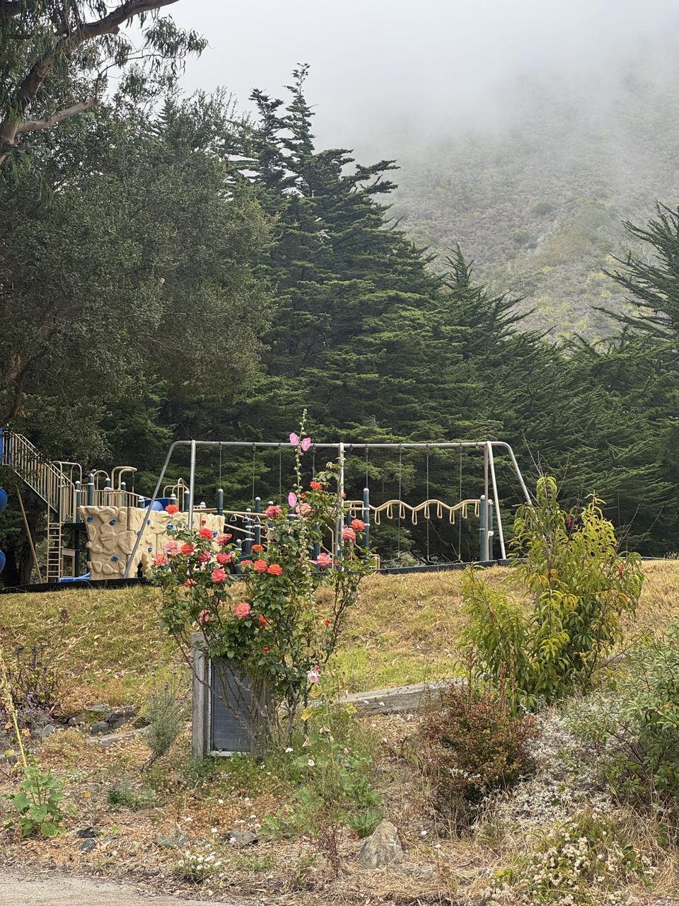 Pacific Valley School