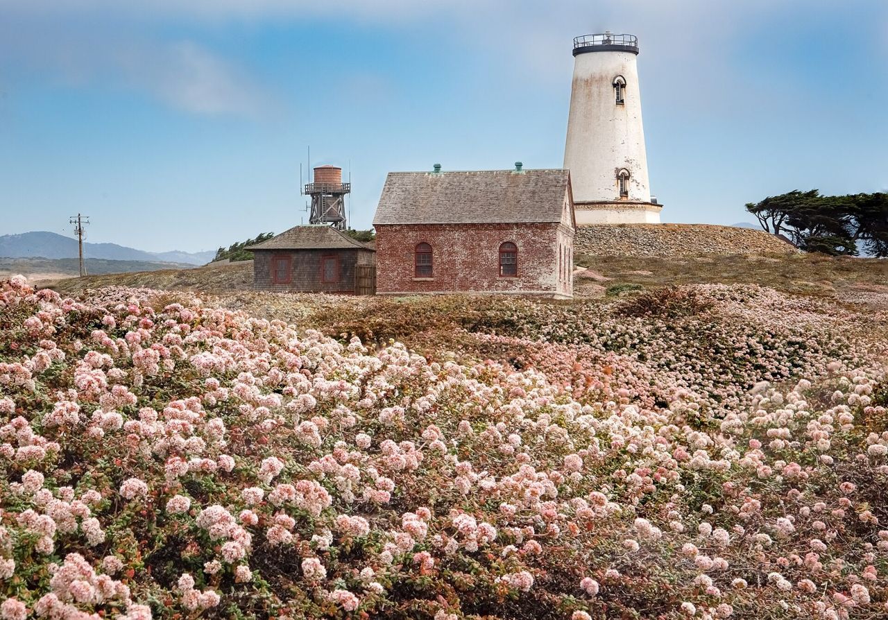 Piedras Blancas Light Station