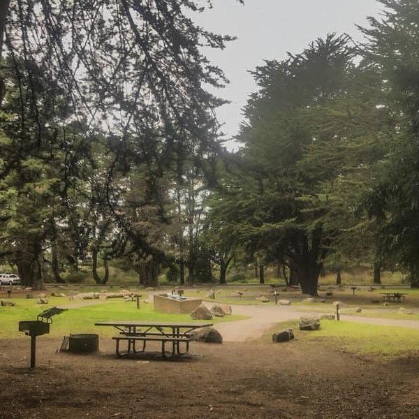 Plaskett Creek Campground