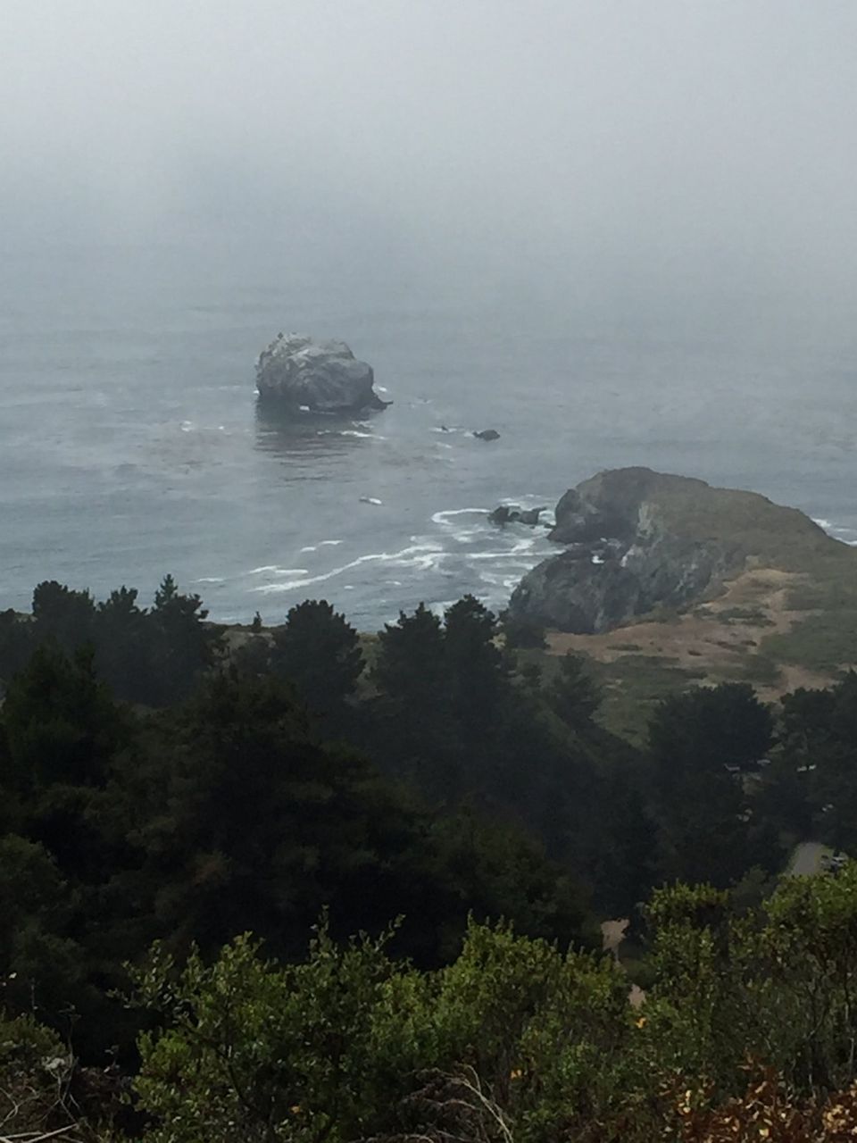 Plaskett Rock