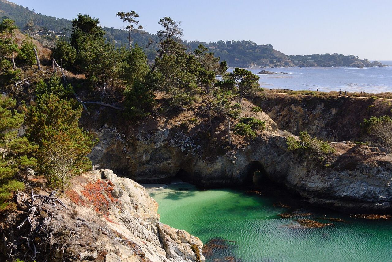 Point Lobos