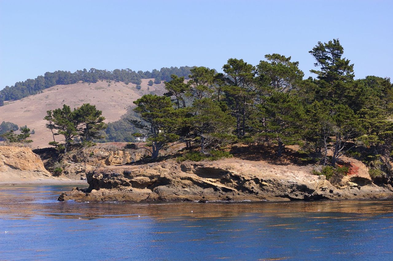 Point Lobos