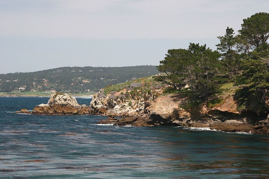 Point Lobos