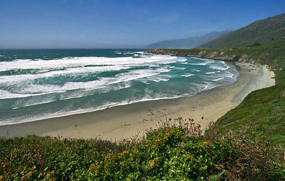 Sand Dollar Beach